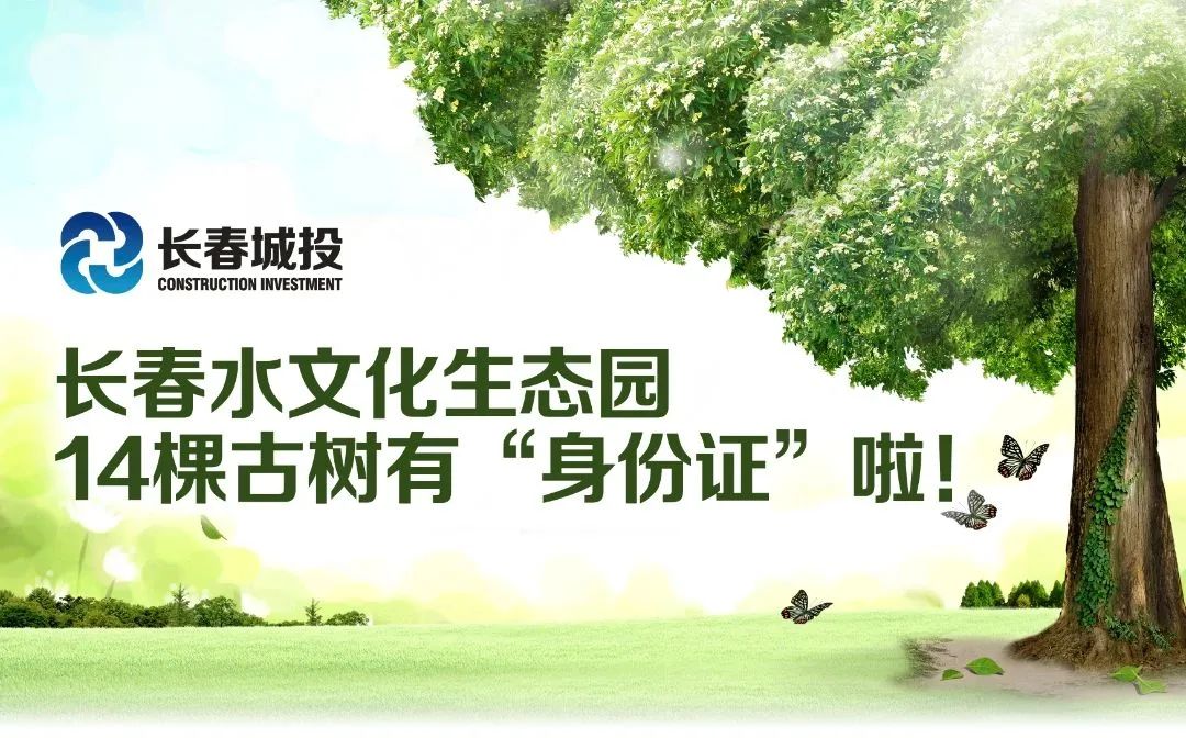 ǡ羺 (й)ٷվ-APP