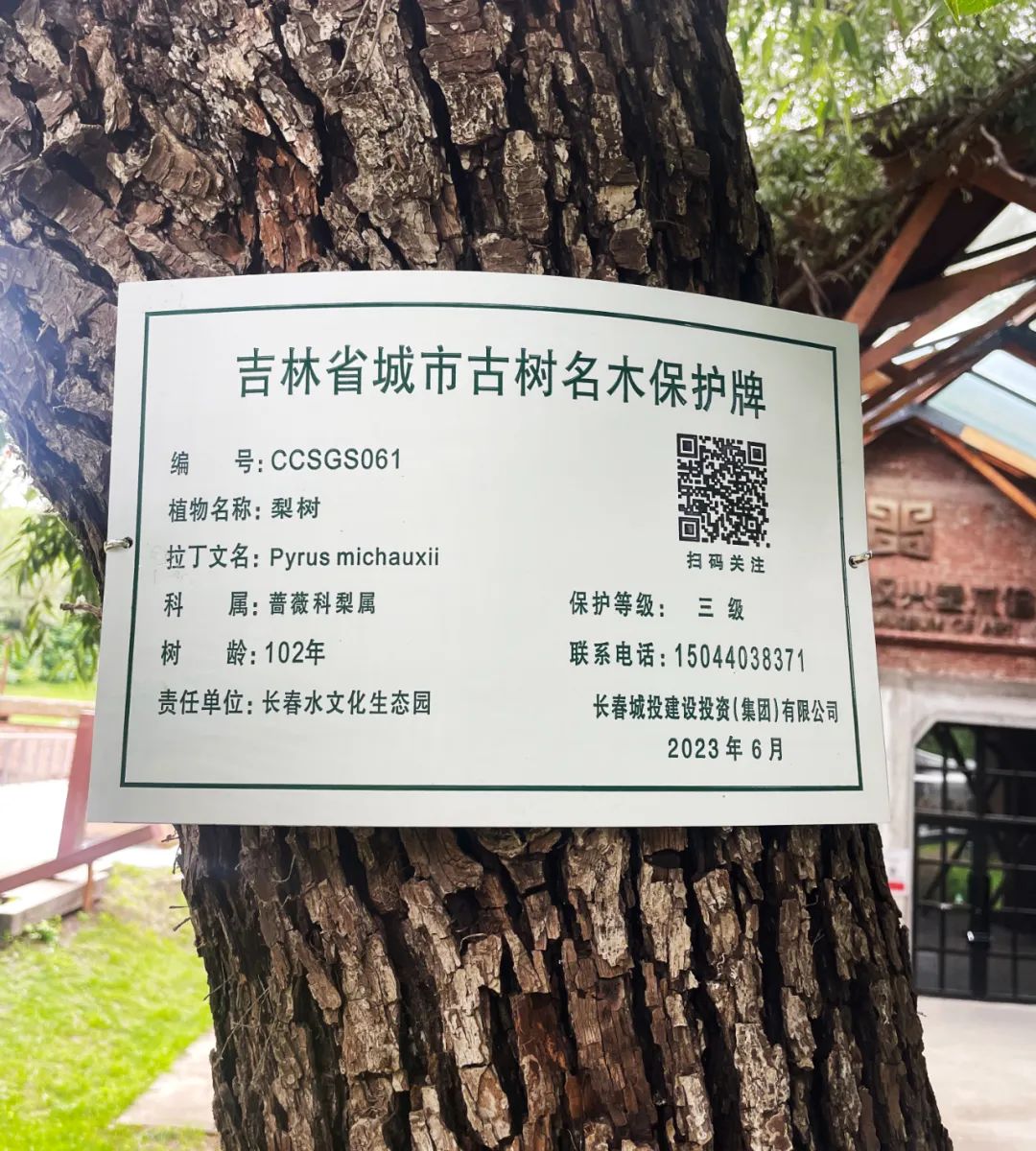 ǡ羺 (й)ٷվ-APP